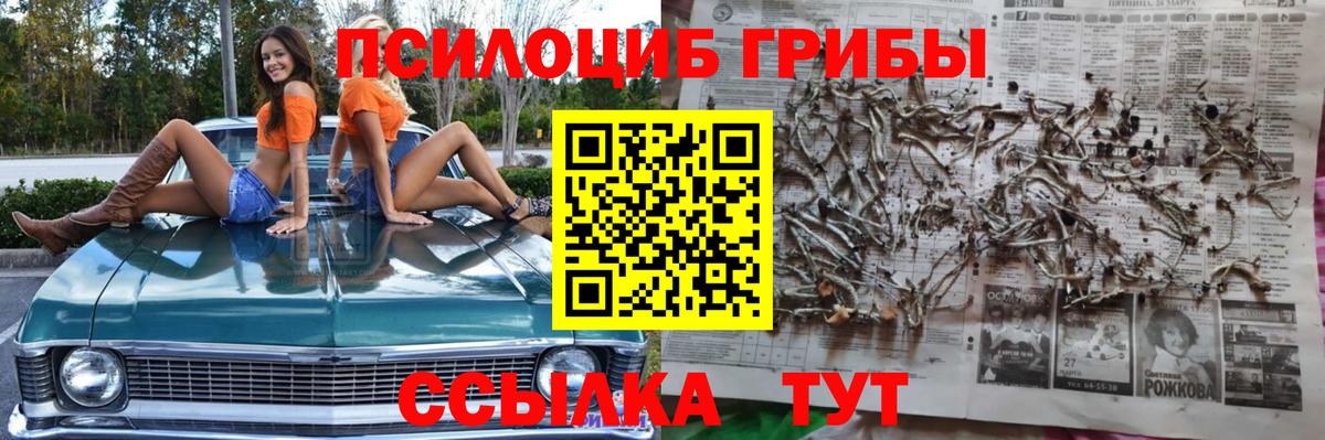 Димитровград  Псилоцибиновые грибы мицелий  Вход с VPN  Галлюциногенные грибы Psilocybine cubensis 